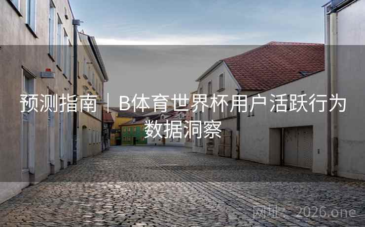 预测指南|B体育世界杯用户活跃行为数据洞察