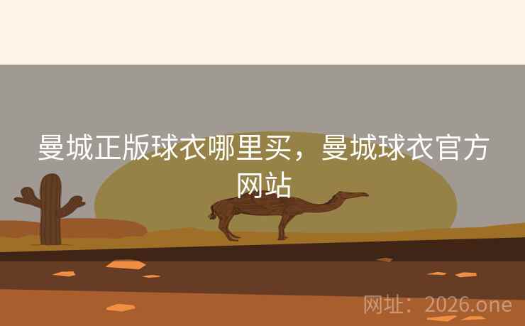 曼城正版球衣哪里买,曼城球衣官方网站