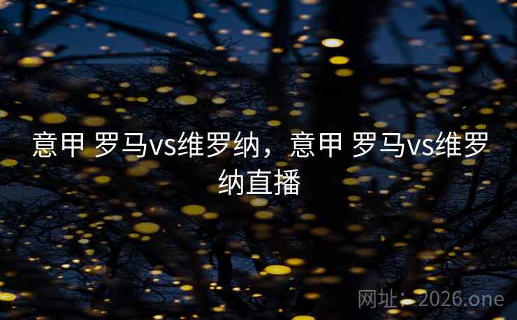 意甲 罗马vs维罗纳,意甲 罗马vs维罗纳直播