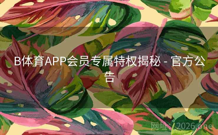 B体育APP会员专属特权揭秘 - 官方公告