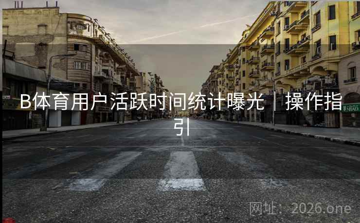 B体育用户活跃时间统计曝光|操作指引