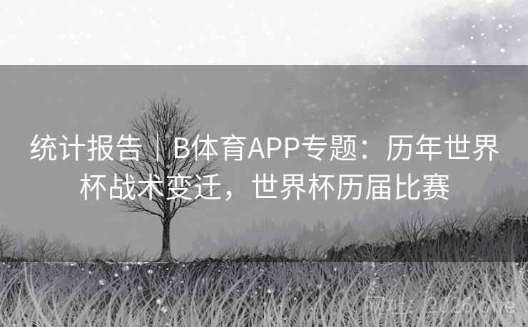 统计报告|B体育APP专题:历年世界杯战术变迁,世界杯历届比赛