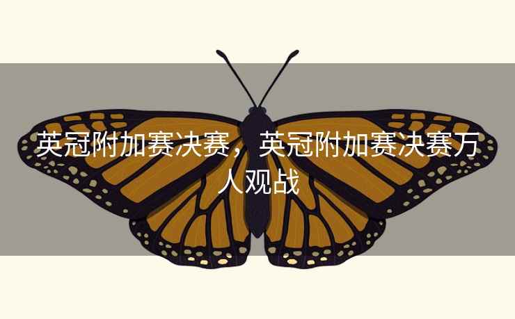 英冠附加赛决赛，英冠附加赛决赛万人观战