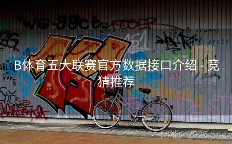 B体育五大联赛官方数据接口介绍 - 竞猜推荐