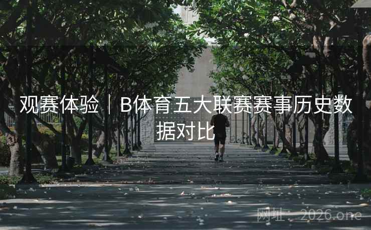 观赛体验|B体育五大联赛赛事历史数据对比