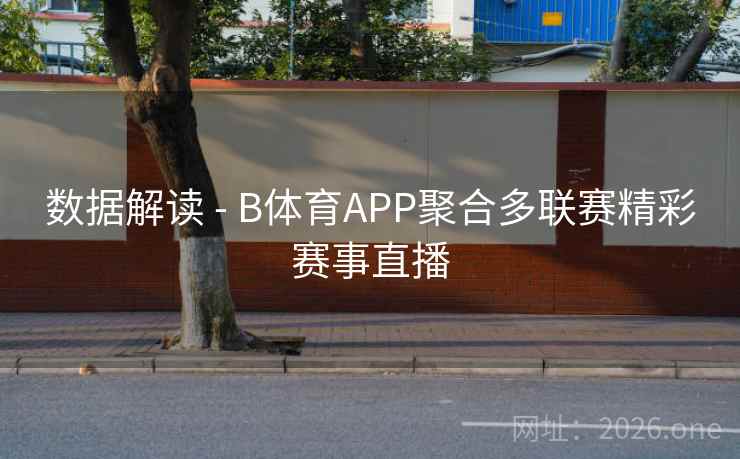数据解读 - B体育APP聚合多联赛精彩赛事直播