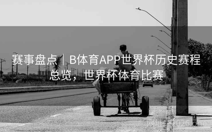 赛事盘点｜B体育APP世界杯历史赛程总览，世界杯体育比赛
