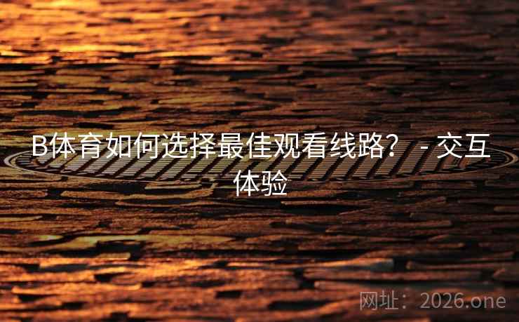 B体育如何选择最佳观看线路? - 交互体验