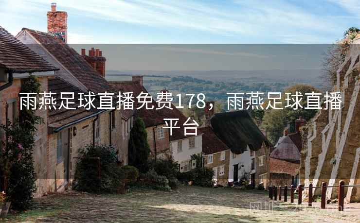 雨燕足球直播免费178，雨燕足球直播平台