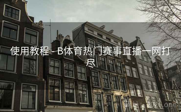 使用教程 - B体育热门赛事直播一网打尽
