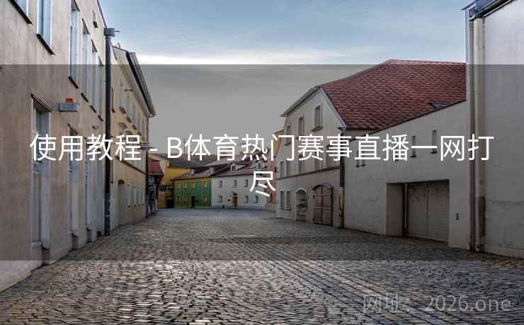 使用教程 - B体育热门赛事直播一网打尽
