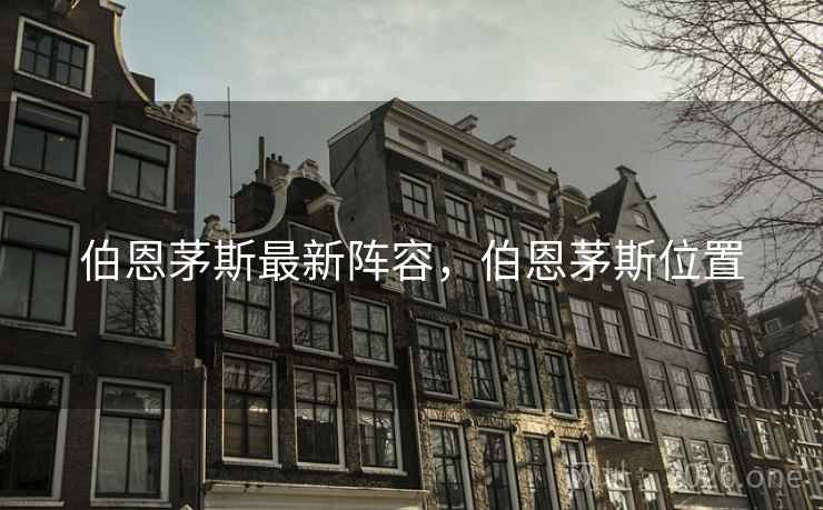 伯恩茅斯最新阵容,伯恩茅斯位置