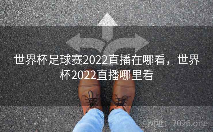 世界杯足球赛2022直播在哪看，世界杯2022直播哪里看